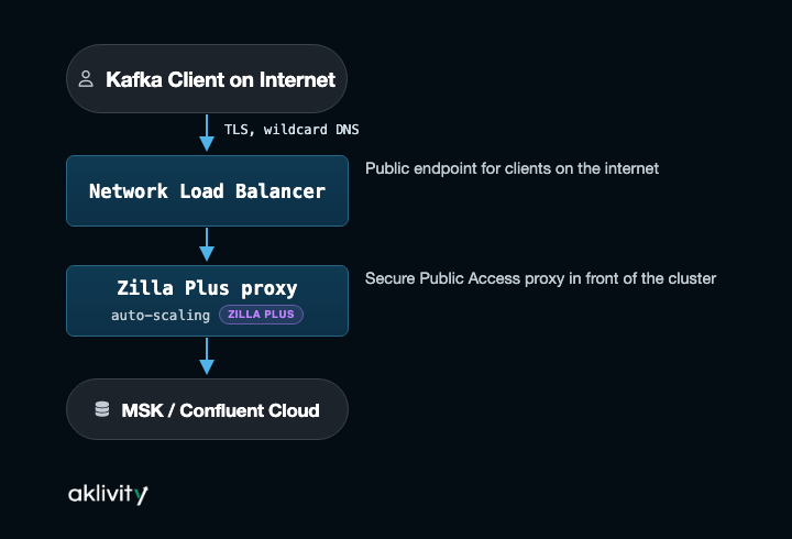 Secure public access flow