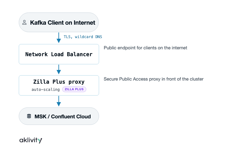Secure public access flow