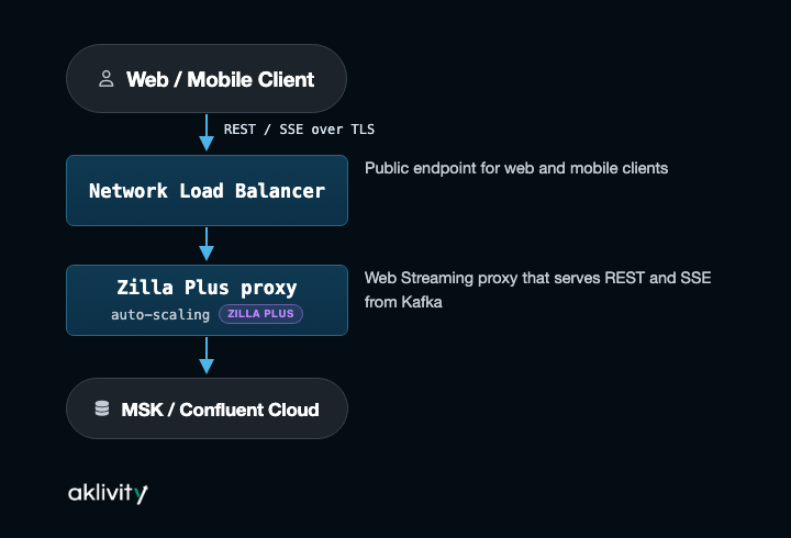 Web streaming flow