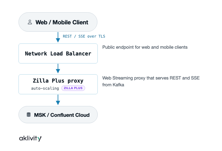 Web streaming flow