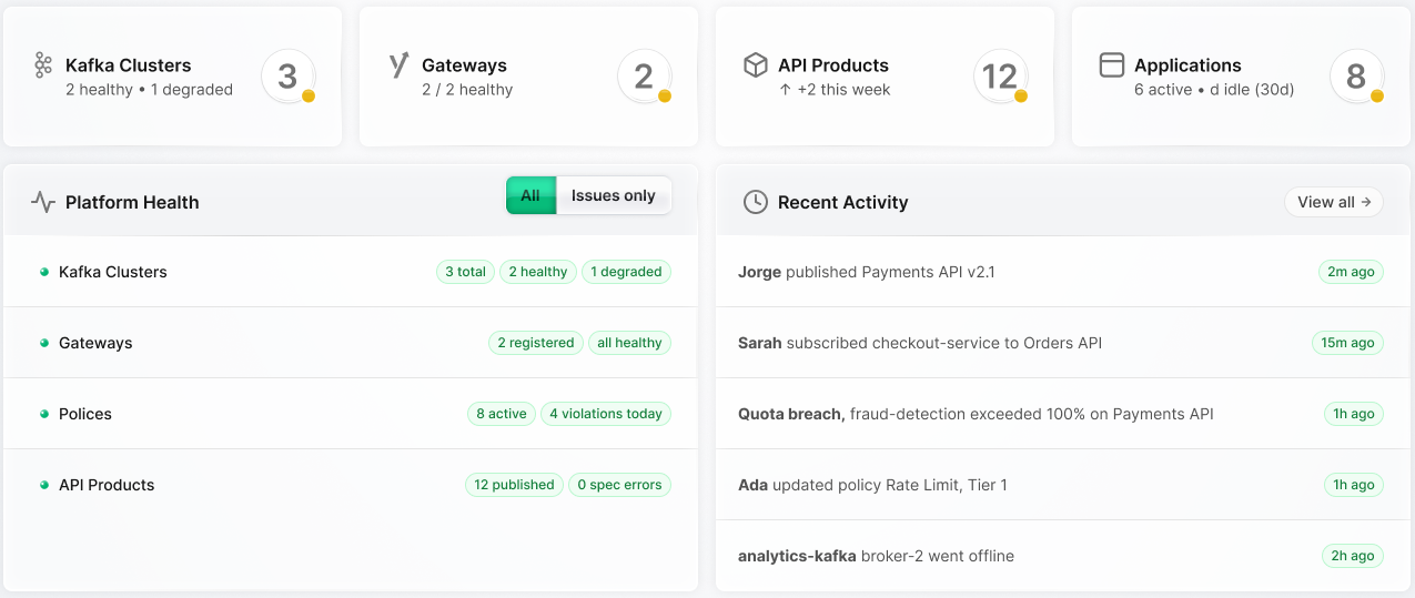Dashboard top section showing resource counts, Platform Health, Recent Activity, and API Analytics
