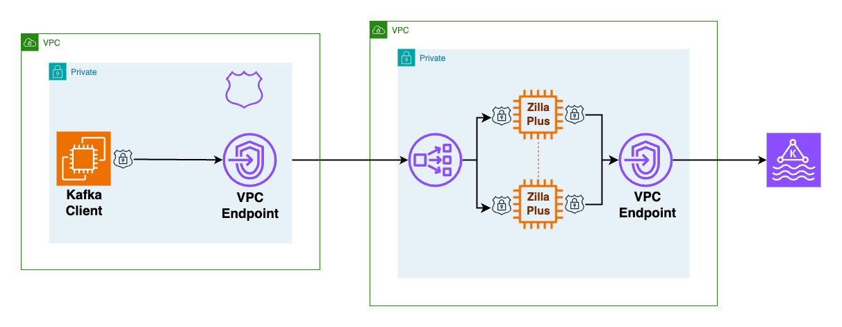 Secure Private Access Overview